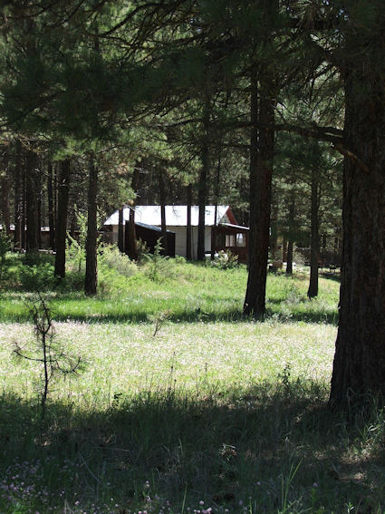 cabin 5 one of many cabins, tree houses near crater lake national park in southern oregon, the klamath basin birding trails in the pacific flyway.